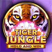 Hoàn trả Casino Trực tuyến